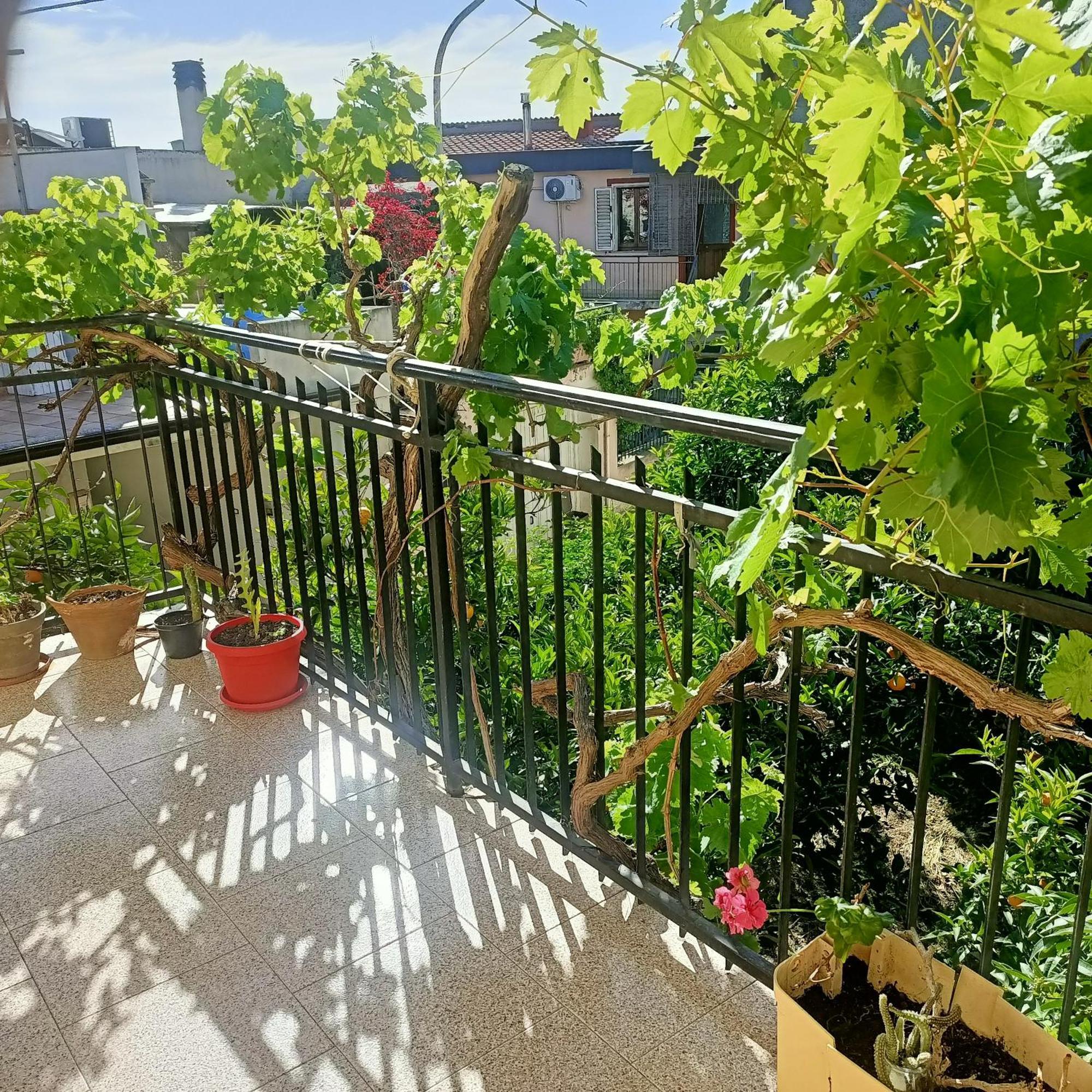 Janas House Lägenhet Bari Sardo Exteriör bild